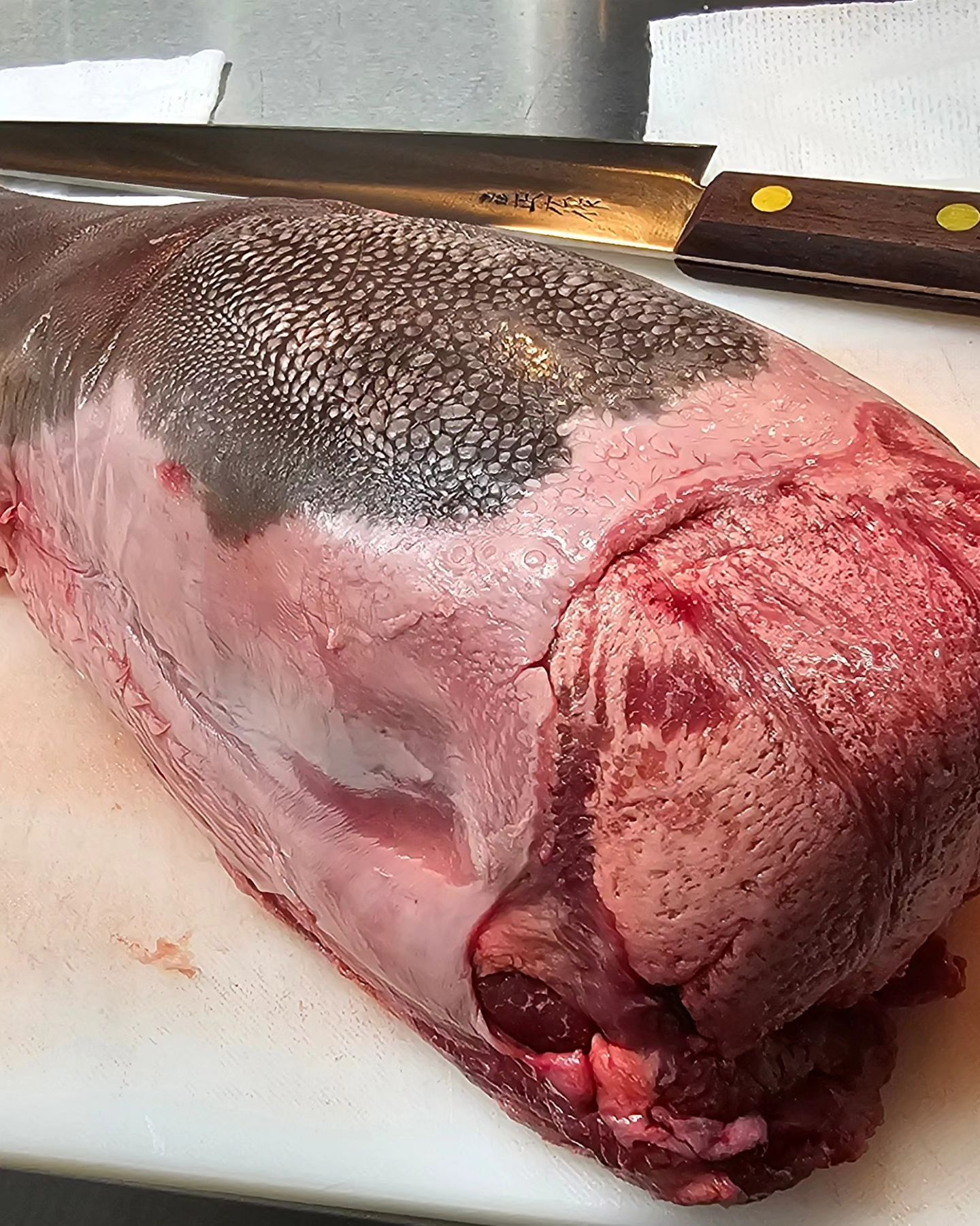 牛たんファン必見❗️ 横浜鶴屋町にある隠れ家的な居酒屋「牛た